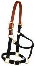 1" SM BLK Snap Halter