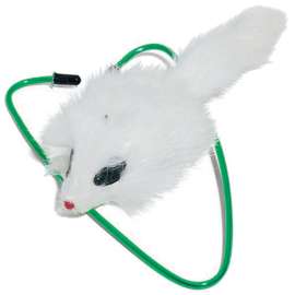 A Door Able Cat Toy