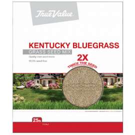 TV25LB KY BLUgrass Seed