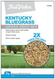 TV 7LB KY BLUgrass Seed