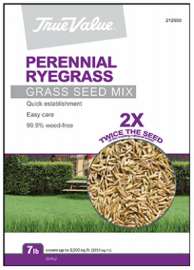 TV 7LB Peren Rye Seed