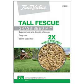 TV 7LB Tall Fescue Seed