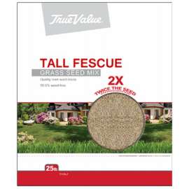 TV25LB Tall Fescue Seed