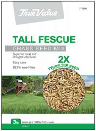 TV 3LB Tall Fescue Seed