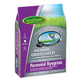 GT 3LB Peren Rye Seed