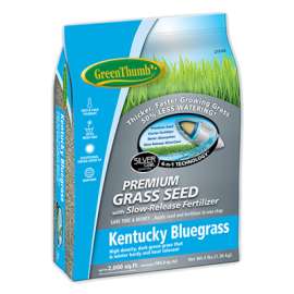 GT 3LB KY BLU Seed