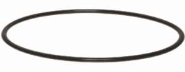 1" Housing O Ring