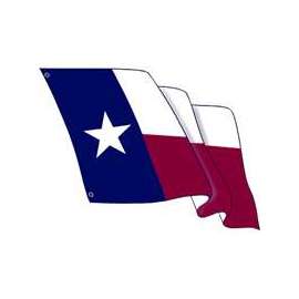 Valley Forge TEX1-1 Texas Flag Kit