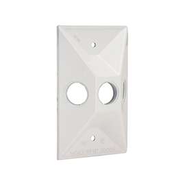 HUBBELL 5189-6 Cluster Cover, 4-19/32 in L, 2-27/32 in W, Rectangular, Zinc, White, Powder-Coated