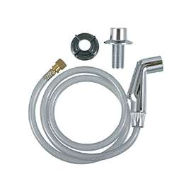 Danco 88814 Spray Hose and Head Assembly, 1/4 in Connection, FIP, Plastic