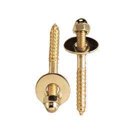 Plumb Pak PP835-151 Screw Set, Brass