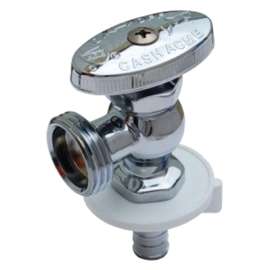 1/2Barbx3/4MaleANG Stop