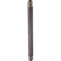 ProSource Pipe Nipple, 1 in, Male, Steel, SCH 40 Schedule
