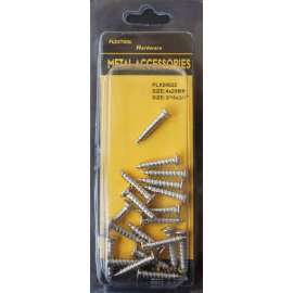 Plextool Flat Head Phillips Stainless Steel Screws 3/16x3/4", 20pcs/PK, 24 PK/Box, Total 480pcs (PLX00622)