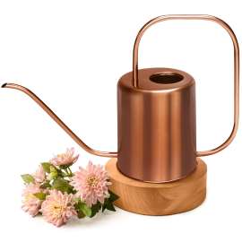 Plexon Rose Gold Metal Watering Can Indoor Plants, 54 oz Stainless Steel Long Spout Watering Can Outdoor House Plant Flower, Garden