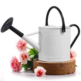 Plexon 1 Gallon Metal Watering Can Outdoor, Flower Plant Gardening Garden Large Watering Can Pot, Black Galvanized Steel Handles and Removable Spray Spout, White