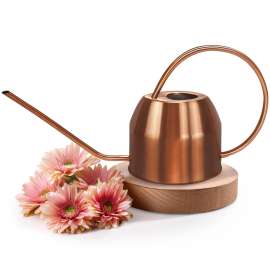 Plexon Rose Gold Metal Watering Can Indoor Plants 40 oz, Stainless Steel Long Spout Watering Can Outdoor House Plant Flower, Garden