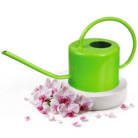 Plexon 40 oz Green Powder Coated Steel Watering Can Indoor Plants - Long Spout Watering Can Outdoor House Plant Flower, Garden