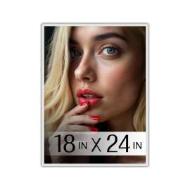 Plexon Poster Picture Frame for Wall, Picture Gallery Photo Frame 18x24, Large, White