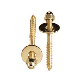 Plumb Pak PP23515 Screw Set, Brass