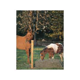 Red Brand Square Deal Tradition 70314 Non-Climb Horse Fence, 2 x 4 in Mesh, 100 ft L, Galvanized