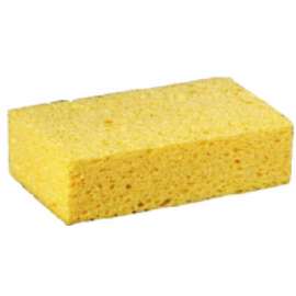 XL C41 Comm Sponge