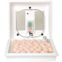 Little Giant 9300 Egg Incubator, 110 V, Styrofoam