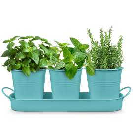Plexon Herb Planter Indoor Garden Set of 3 with Tray, Metal Herb Pots for Indoor Plants, Round Kitchen Garden Kit Ideal for Windowsill Planter or Countertop, Aqua Mist Blue Powder Coated