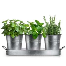 Plexon Herb Planter Indoor Garden Set of 3 with Tray, Metal Herb Pots for Indoor Plants, Round Kitchen Garden Kit Ideal for Windowsill Planter or Countertop, Galvanized Steel