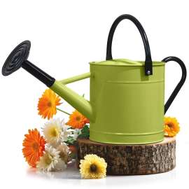 Plexon 1 Gallon Metal Watering Can Outdoor, Flower Plant Gardening Garden Large Watering Can Pot, Black Galvanized Steel Handles and Removable Spray Spout, Green