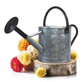 Plexon 1 Gallon Metal Watering Can Outdoor, Flower Plant Gardening Garden Large Galvanized Watering Can Pot Pitcher, Steel Black Handles and Removable Spray Spout