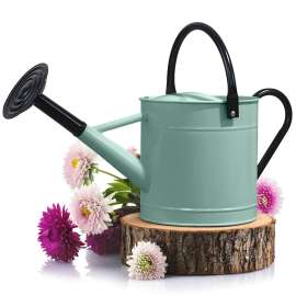 Plexon 1 Gallon Metal Watering Can Outdoor, Flower Plant Gardening Garden Large Watering Can Pot, Black Galvanized Steel Handles and Removable Spray Spout, Aqua Mist Blue