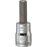DeWALT DWMT86392OSP Fractional Hex Bit Socket, 5/16 in Tip, 3/8 in Drive, Polished Chrome Vanadium, 1-31/32 in OAL