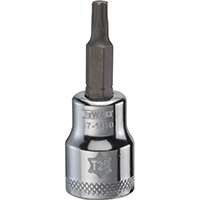 DeWALT DWMT87143OSP Torx Bit Socket, T25 Tip, 3/8 in Drive, Polished Chrome Vanadium, 1-31/32 in OAL
