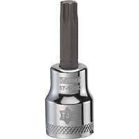 DeWALT DWMT87145OSP Torx Bit Socket, T40 Tip, 3/8 in Drive, Polished Chrome Vanadium, 1-31/32 in OAL
