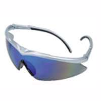 MSA 10083094 Safety Glasses, Anti-Fog Lens, Silver Frame