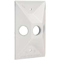 HUBBELL 5189-1 Cluster Cover, 4-19/32 in L, 2-27/32 in W, Rectangular, Zinc