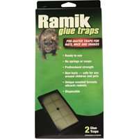 NEOGEN Ramik 116230 Pre-Baited Glue Trap