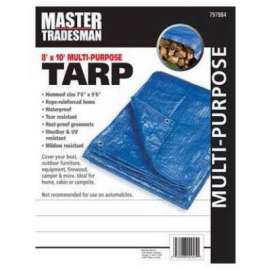 TG 8x10 BLU Poly Tarp