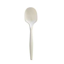 Mediumweight Polypropylene Cutlery, Teaspoon, White, 1,000/Carton