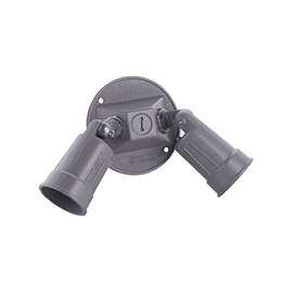 HUBBELL 5625-0 Combination, Weatherproof Lamp Holder, 120 V, 75 to 150 W