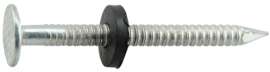 LB 1-1/2" HD Roof Nail