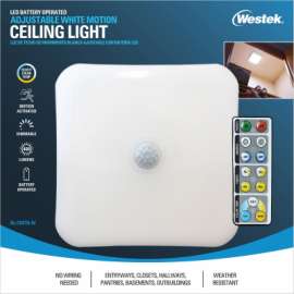 LED Motion Ceil Light