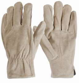 XL Mens Suede Cow Glove