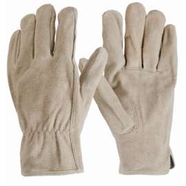 MED Men Suede Cow Glove