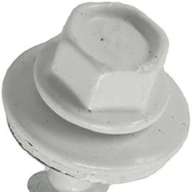 250PK 10x1 WHT WB Screw
