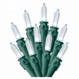 50CT BO CW Mini Lights