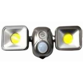 Dual Security FLD Light