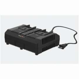 20V Li-Ion Dual Charger