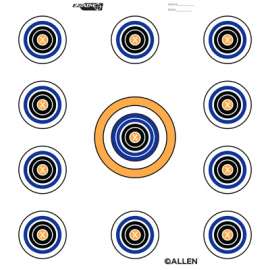 12" 11 Spot Target